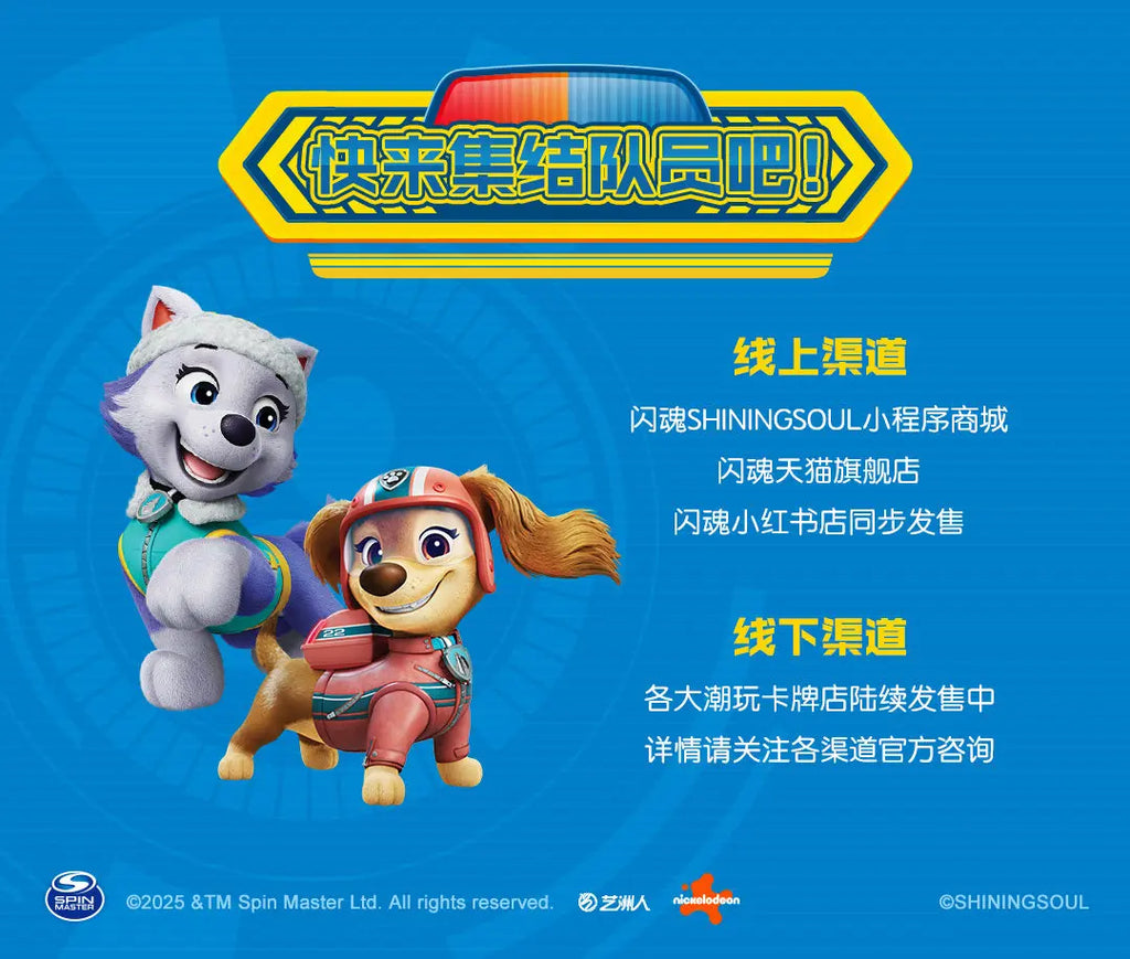 Cartes à collectionner PAW Patrol, la première série de sacs d'aventure, cartes à collectionner, cartes de collection, cartes cadeaux, jouets